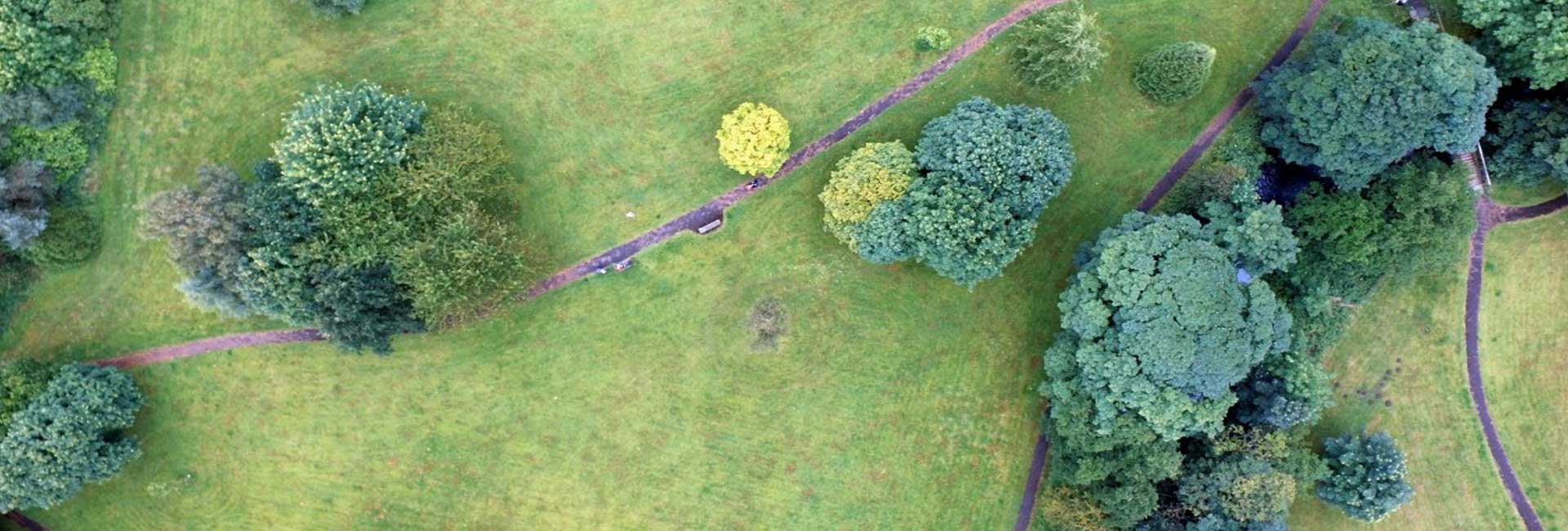 <small>Luftbilder</small>Wildschäden